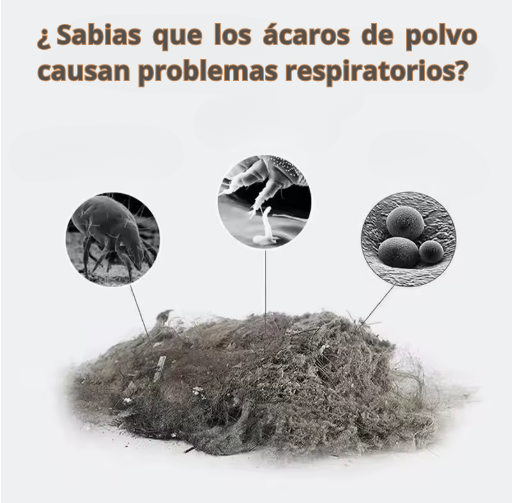 Aspiradora MiteBuster Pro ™  🏡