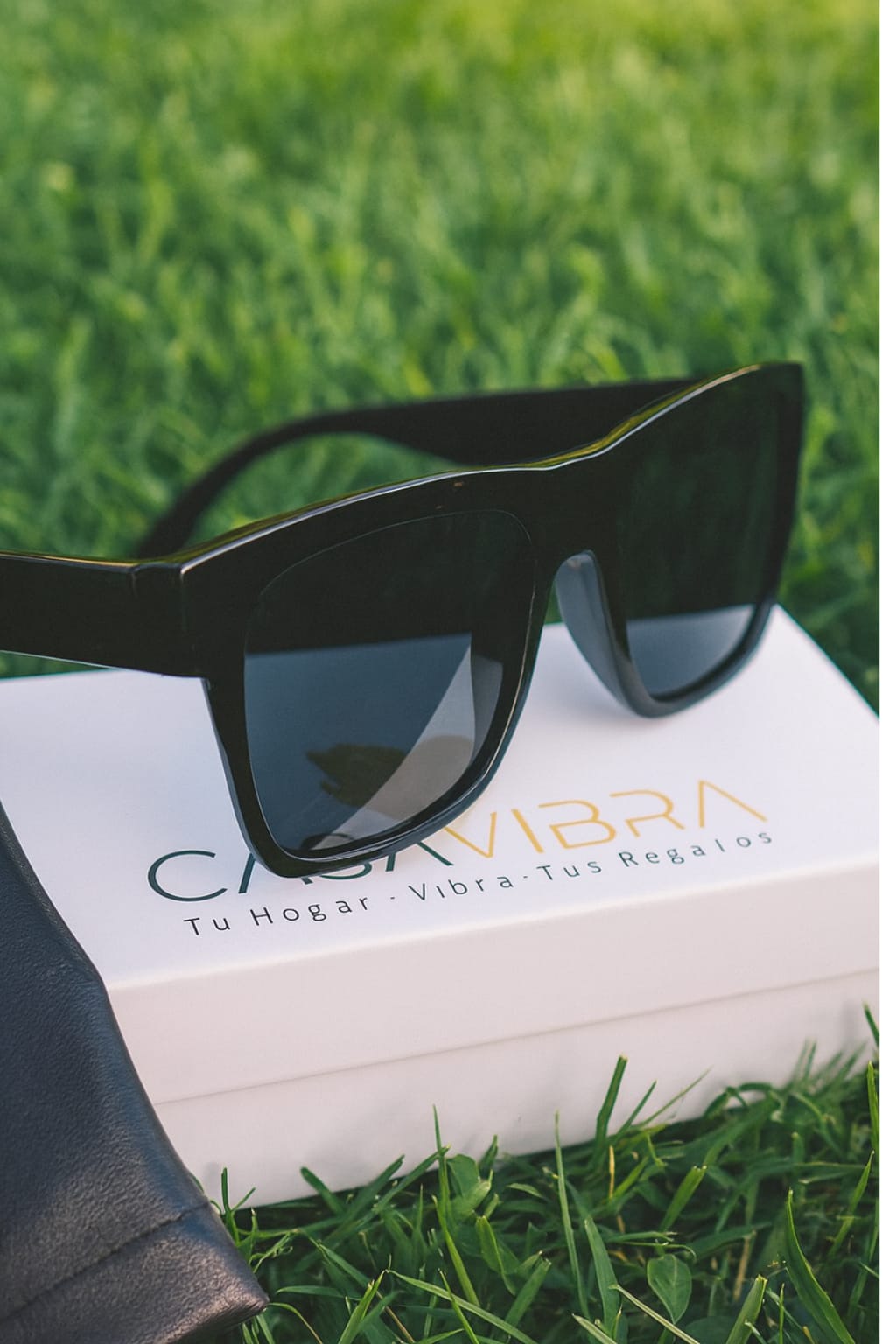 AquaVue Smart Glasses ™